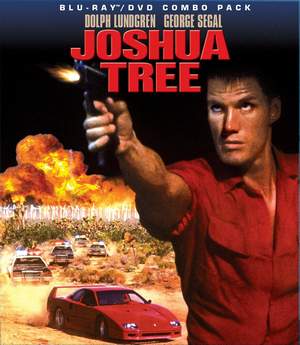 Joshua Tree / Дървото на Джошуа (1993)