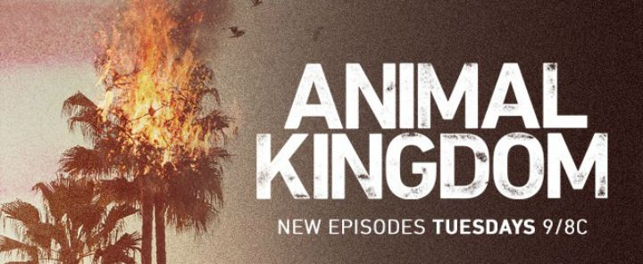 Animal Kingdom Season 1 / Животинско царство Сезон 1 (2016)