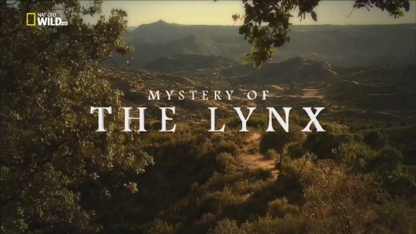 Nat Geo Wild HD - Mystery of the Lynx / Мистерията на риса (2016)