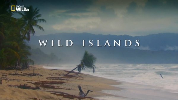 Nat Geo WIld HD - Wild Islands - Zanzibar / Амазония: Воден свят (2016)