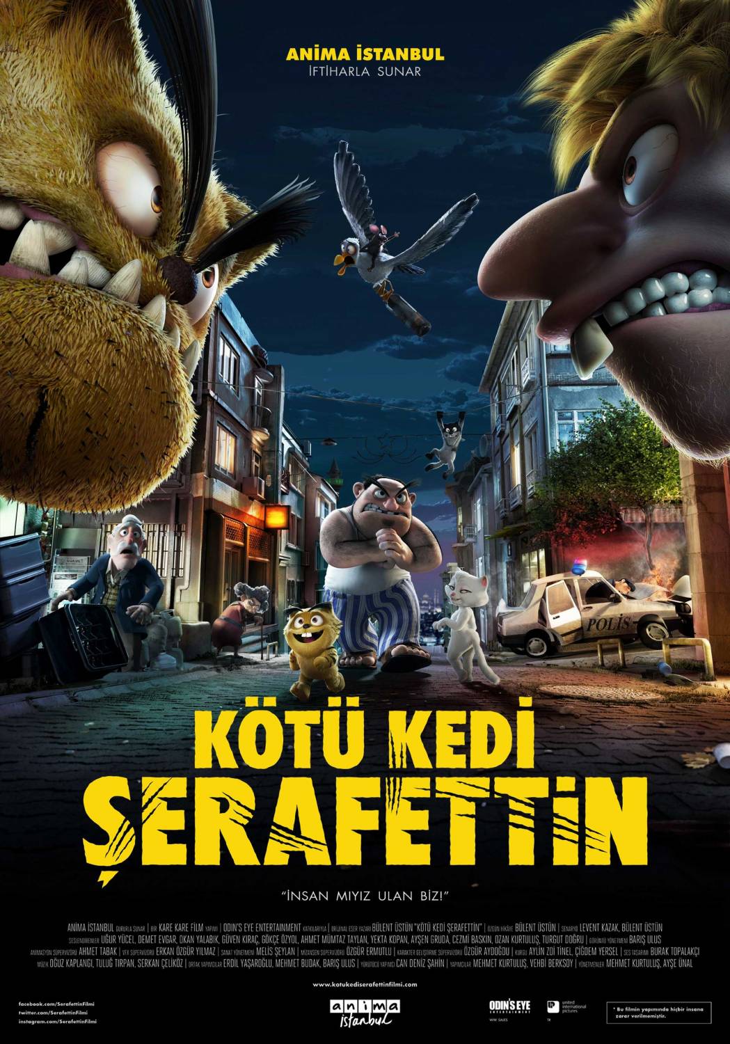 Bad Cat / Kotu Kedi Serafettin / Лошият Котарак Шерафеттин (2016)