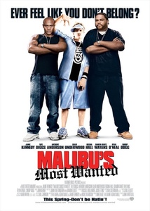 Malibu's Most Wanted / Страшилището на Малибу (2003)