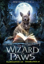 The Amazing Wizard of Paws / Вълшебните лапички (2015)